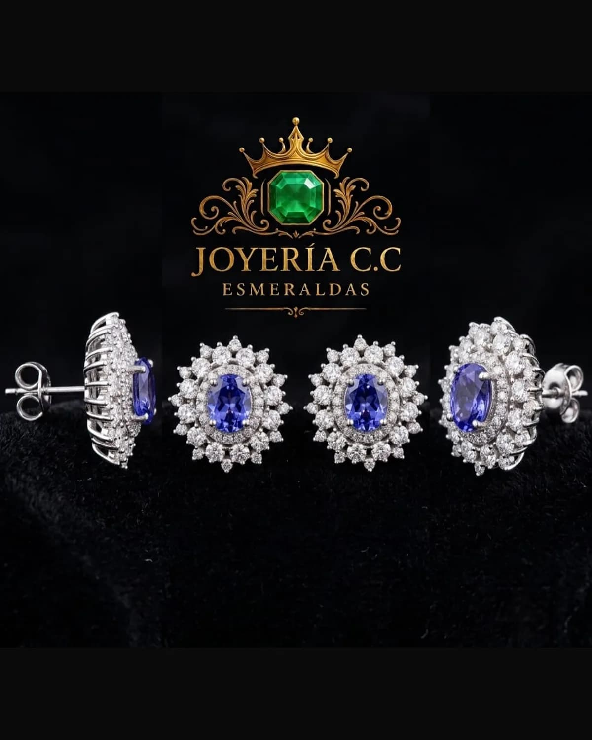 Aretes Violeta de Sabana